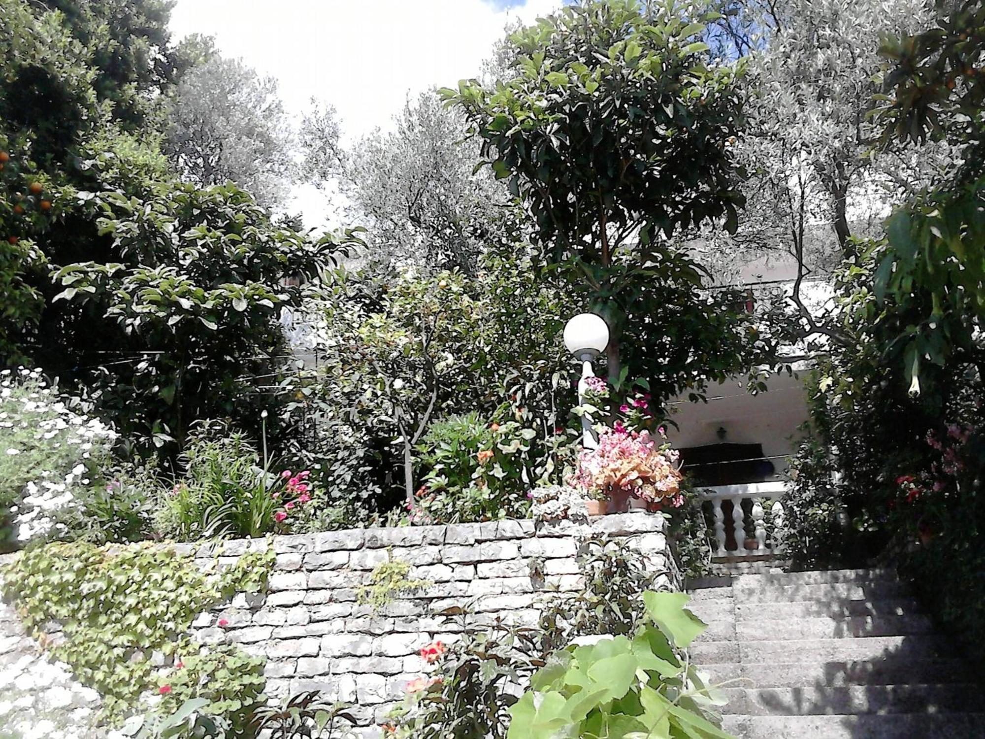 Oaza Guest House Sveti Stefan Luaran gambar