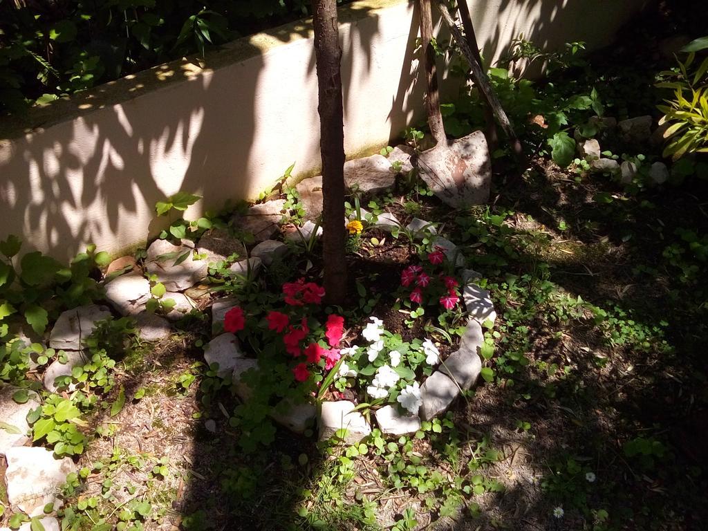 Oaza Guest House Sveti Stefan Luaran gambar