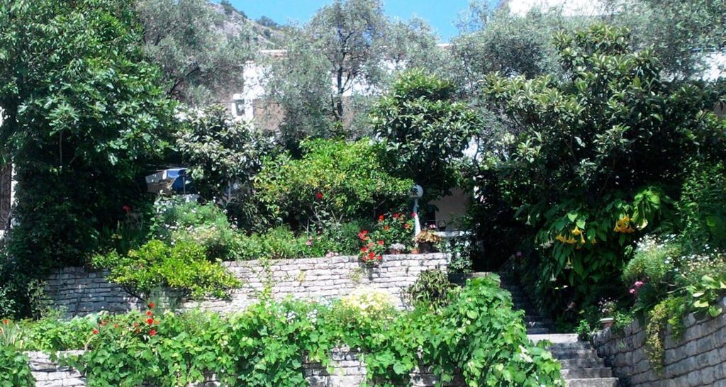 Oaza Guest House Sveti Stefan Luaran gambar